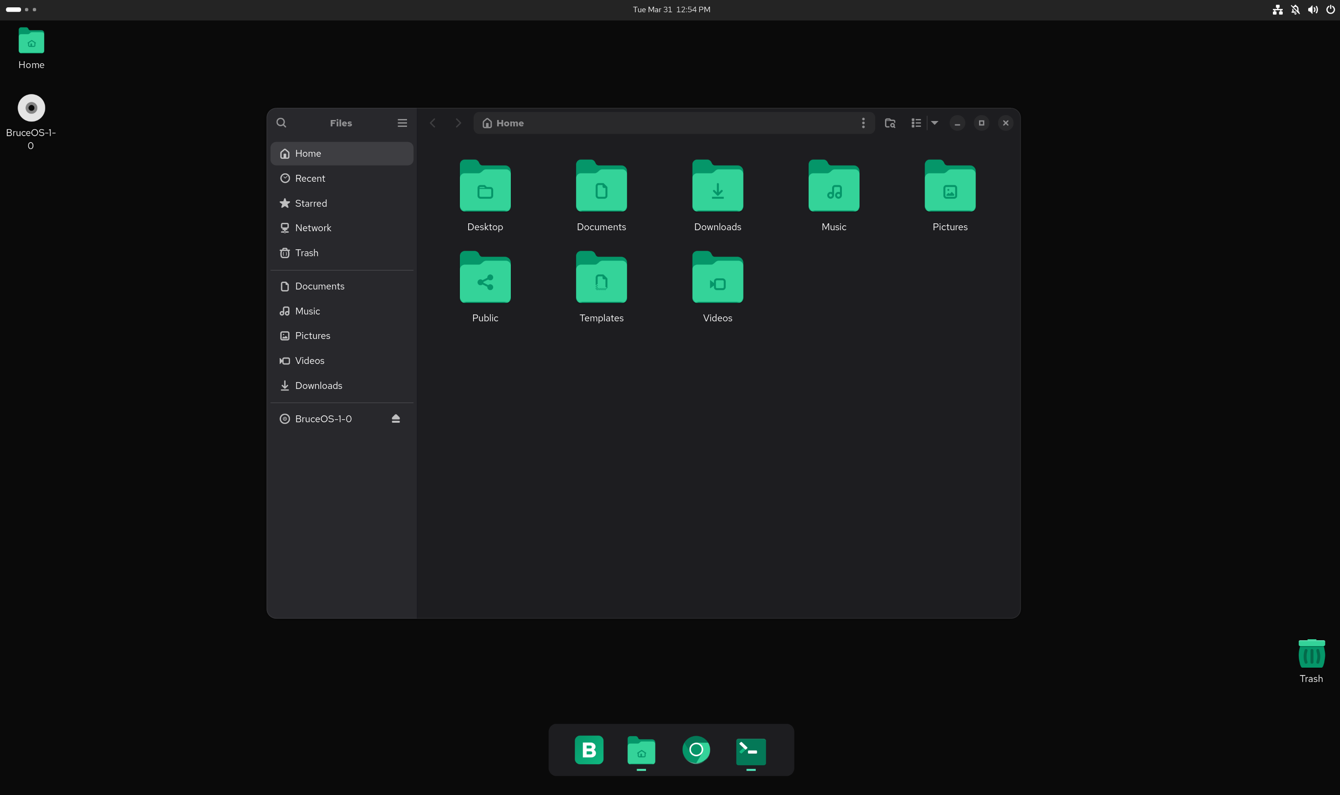 BruceOS Desktop
